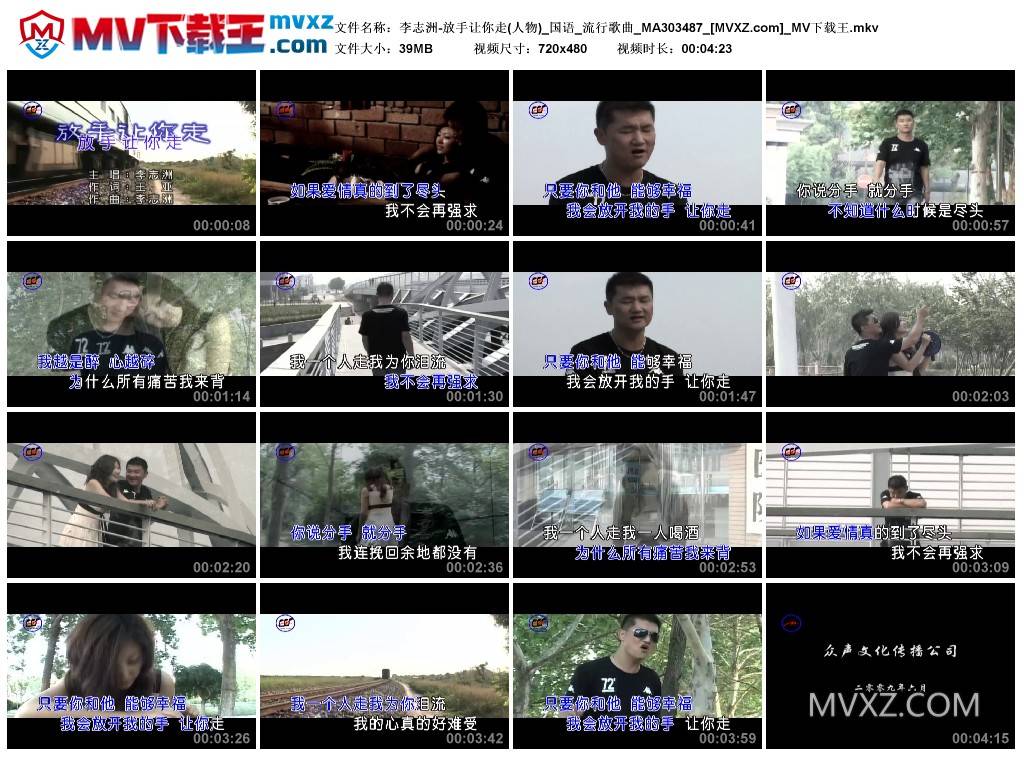李志洲-放手让你走(人物)_国语_流行歌曲_MA303487